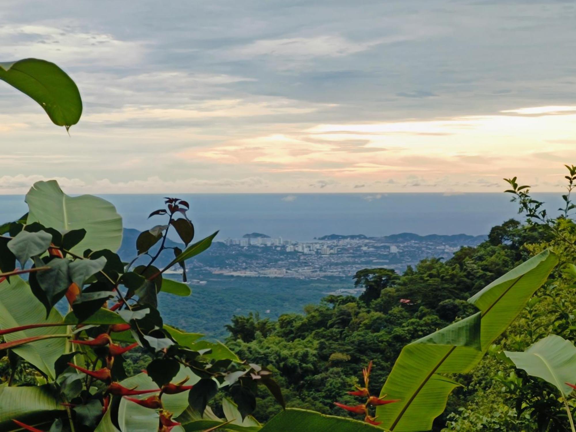 El Eden Minca Villa Bagian luar foto