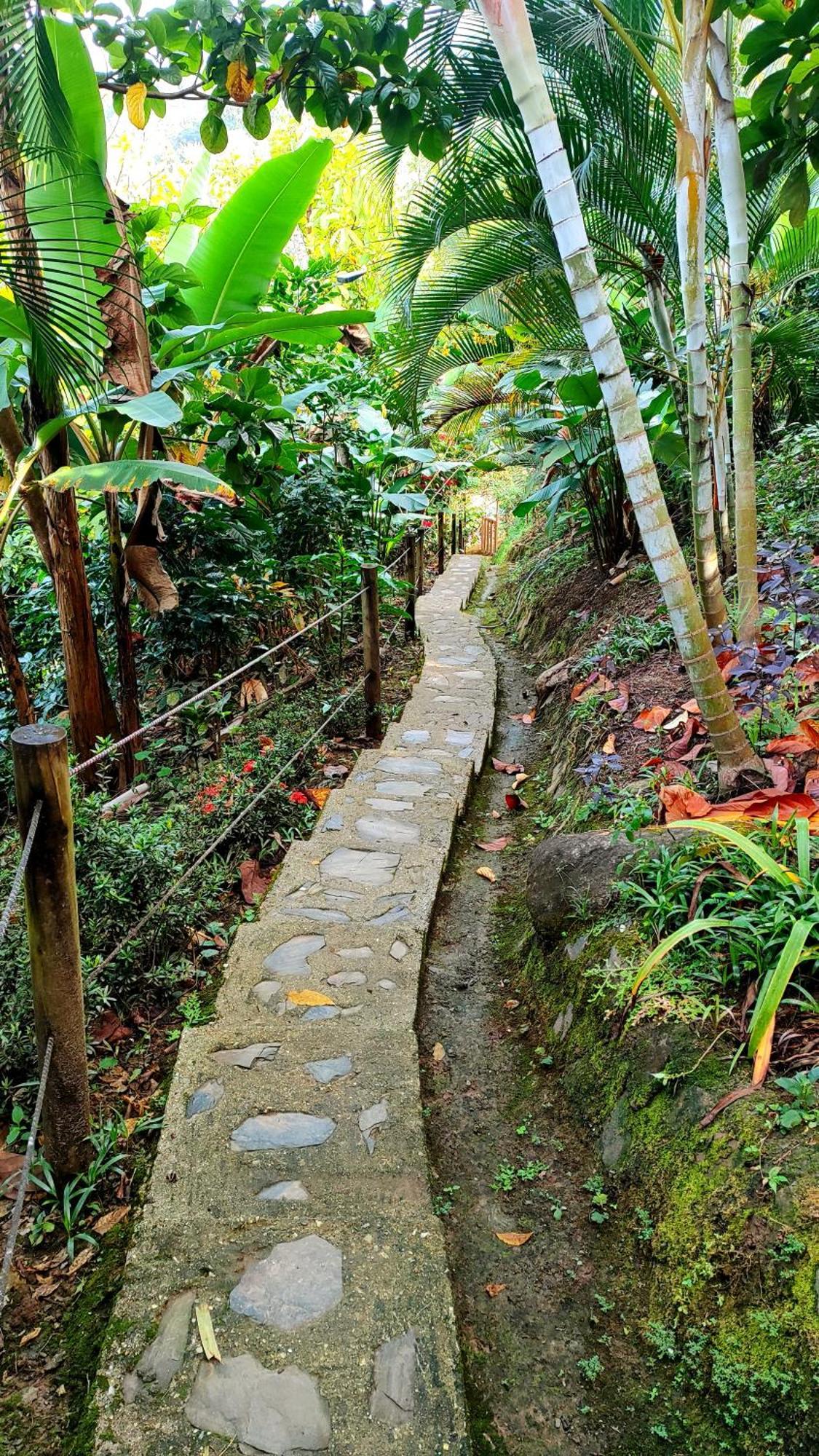 El Eden Minca Villa Bagian luar foto